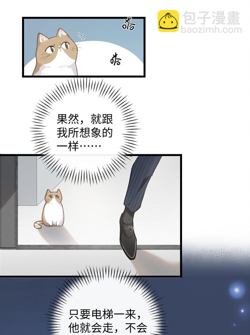 《加菲猫复仇记》003 只是因为在电梯门口多看你一眼 第31页