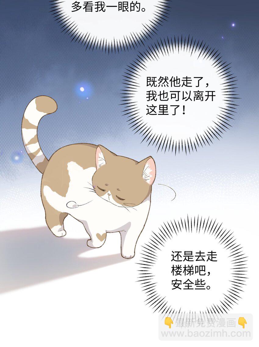 《加菲猫复仇记》003 只是因为在电梯门口多看你一眼 第32页