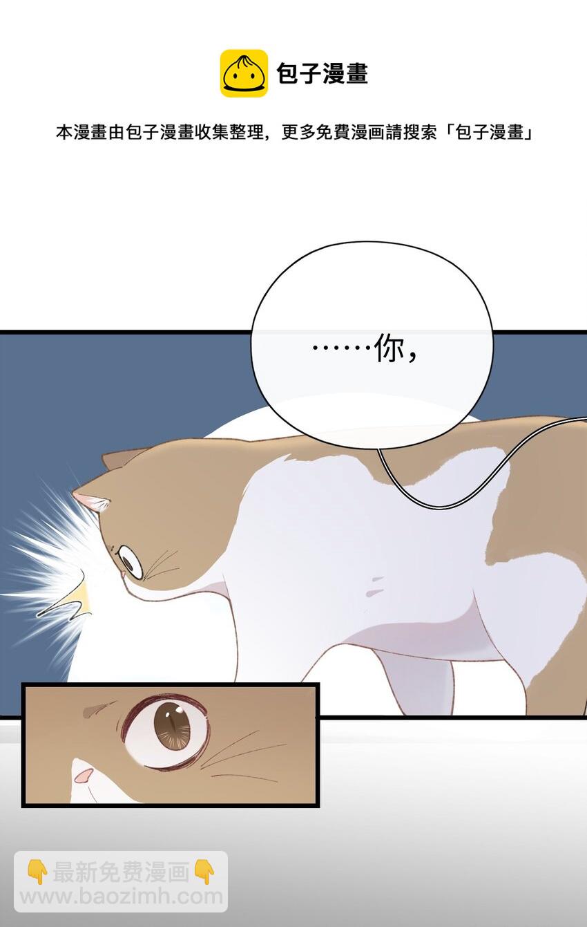 《加菲猫复仇记》003 只是因为在电梯门口多看你一眼 第33页