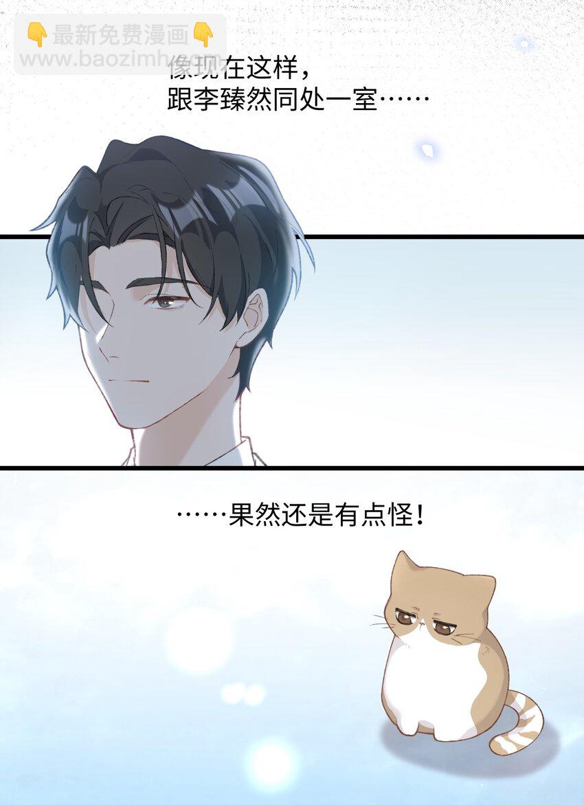 《加菲猫复仇记》003 只是因为在电梯门口多看你一眼 第38页