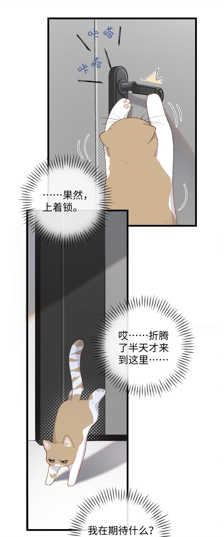 《加菲猫复仇记》003 只是因为在电梯门口多看你一眼 第3页