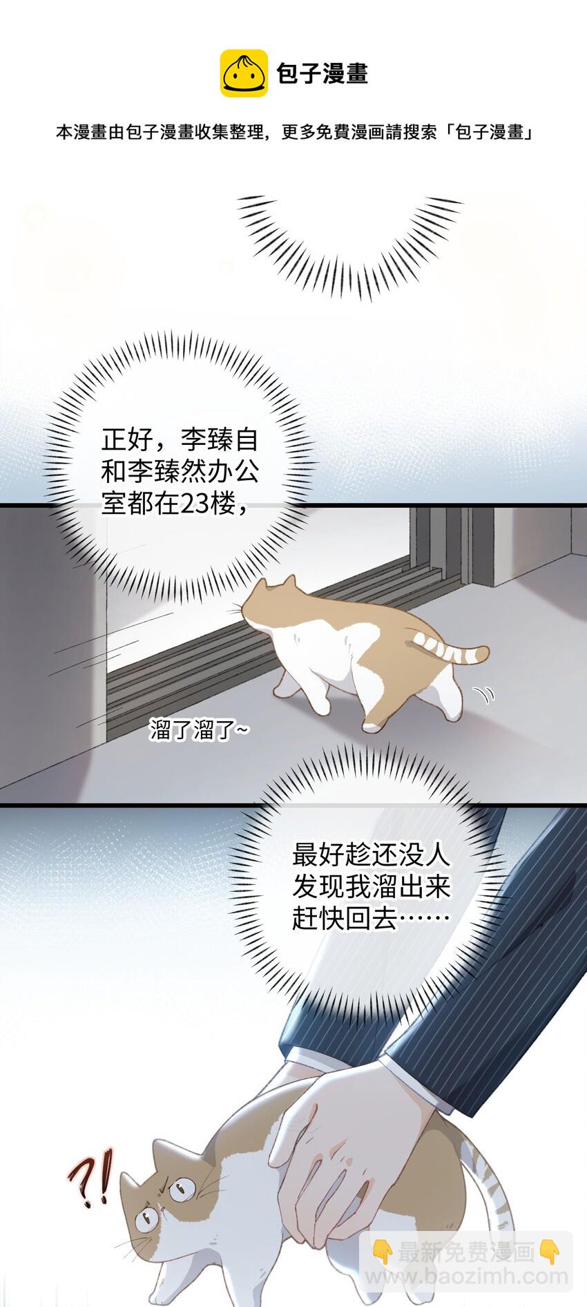 《加菲猫复仇记》003 只是因为在电梯门口多看你一眼 第49页
