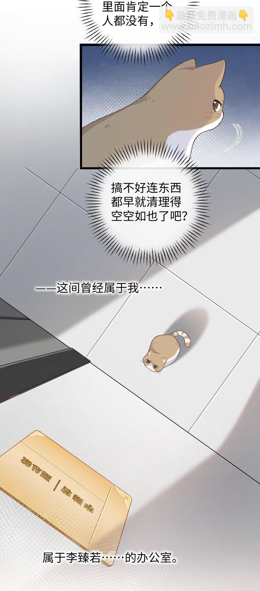 《加菲猫复仇记》003 只是因为在电梯门口多看你一眼 第4页