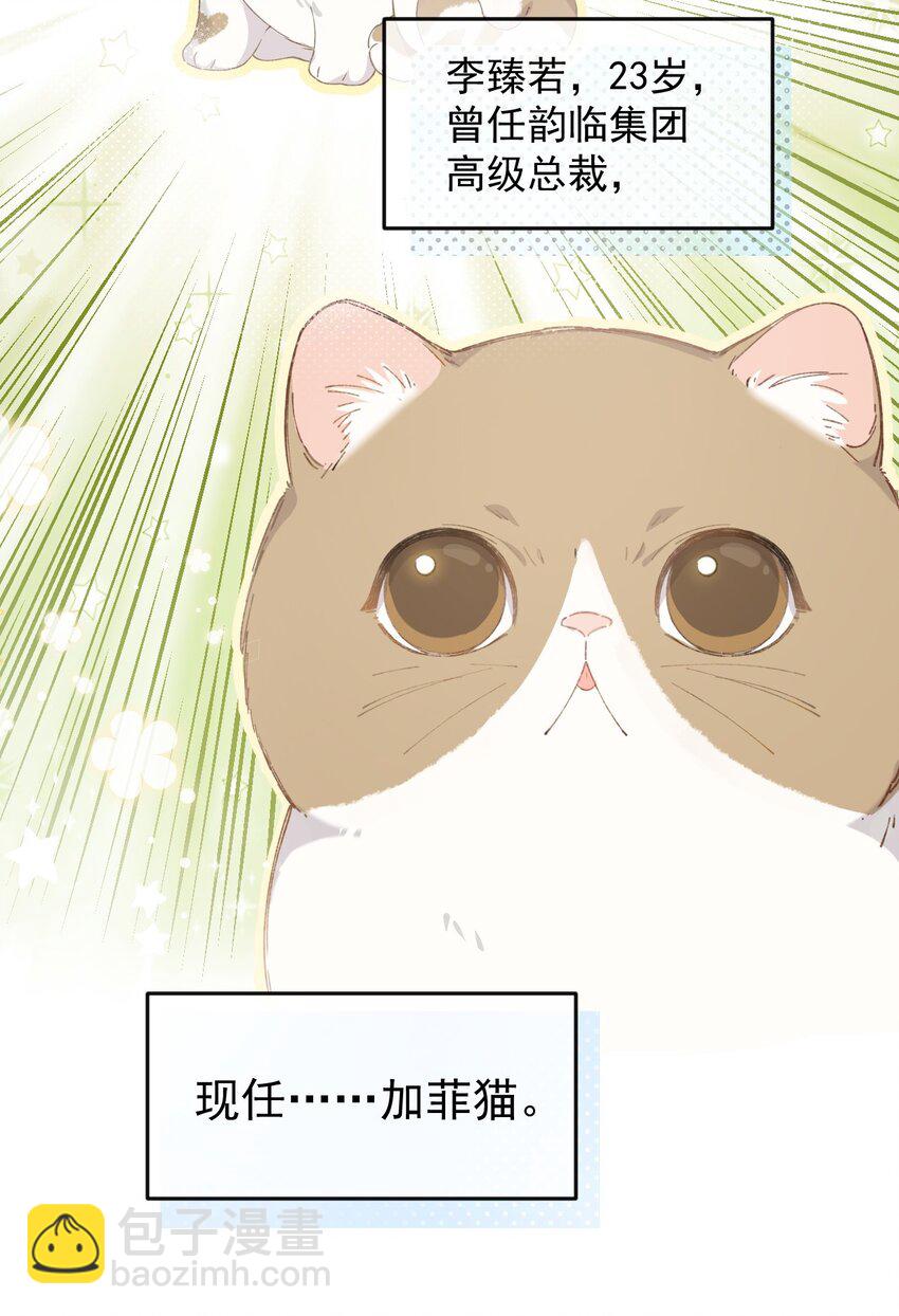 《加菲猫复仇记》001 充满智慧的小猫咪 第10页