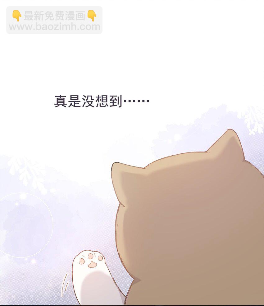 《加菲猫复仇记》001 充满智慧的小猫咪 第12页