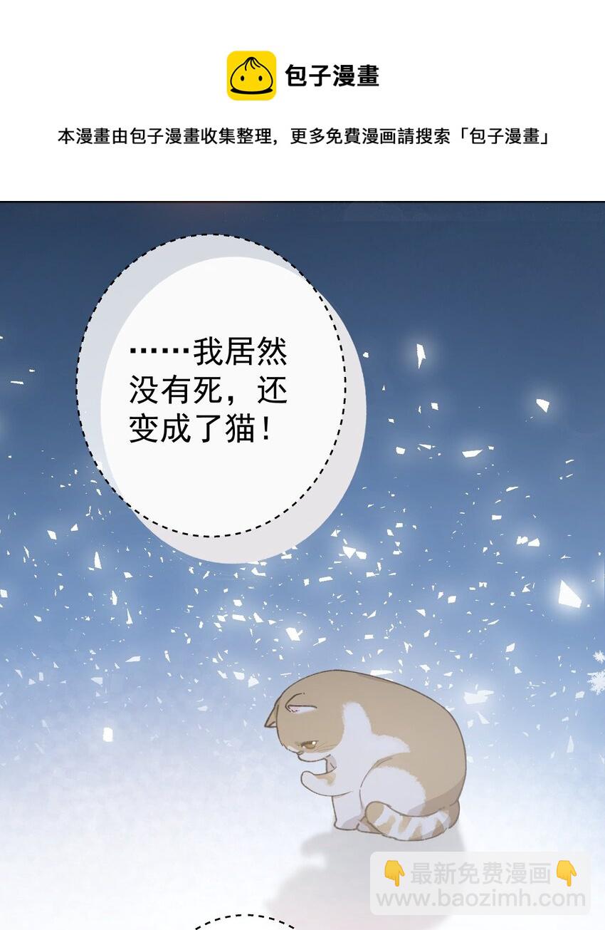 《加菲猫复仇记》001 充满智慧的小猫咪 第13页