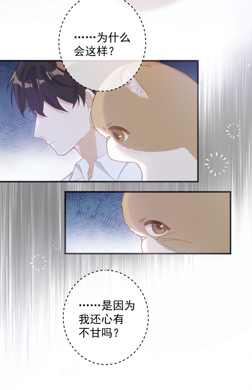 《加菲猫复仇记》001 充满智慧的小猫咪 第14页