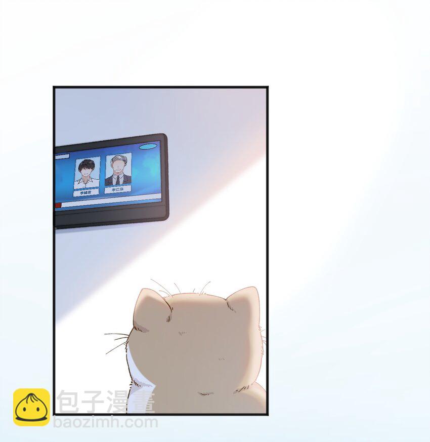 《加菲猫复仇记》001 充满智慧的小猫咪 第15页