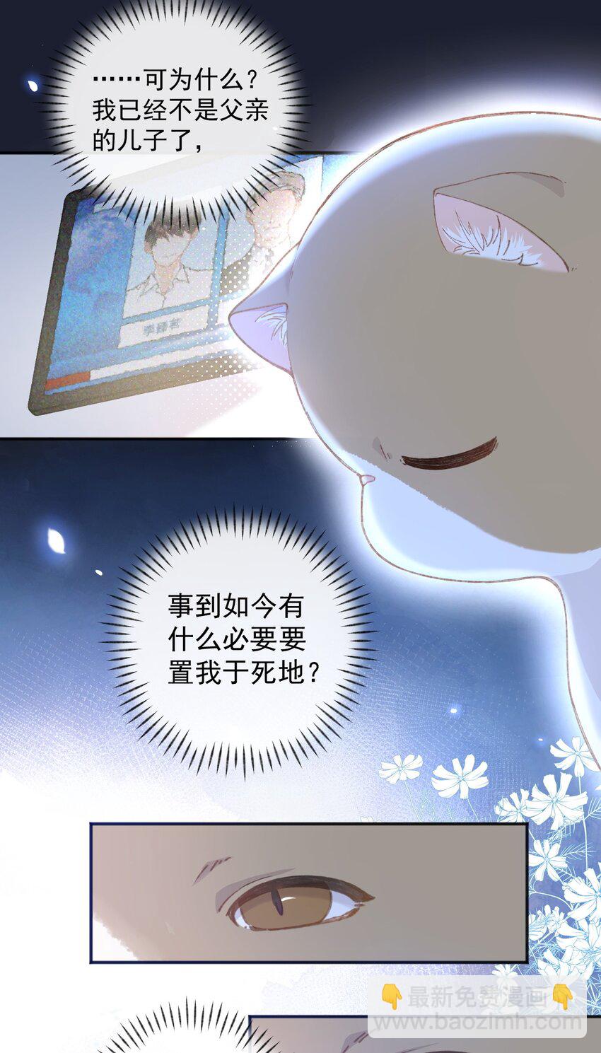 《加菲猫复仇记》001 充满智慧的小猫咪 第24页