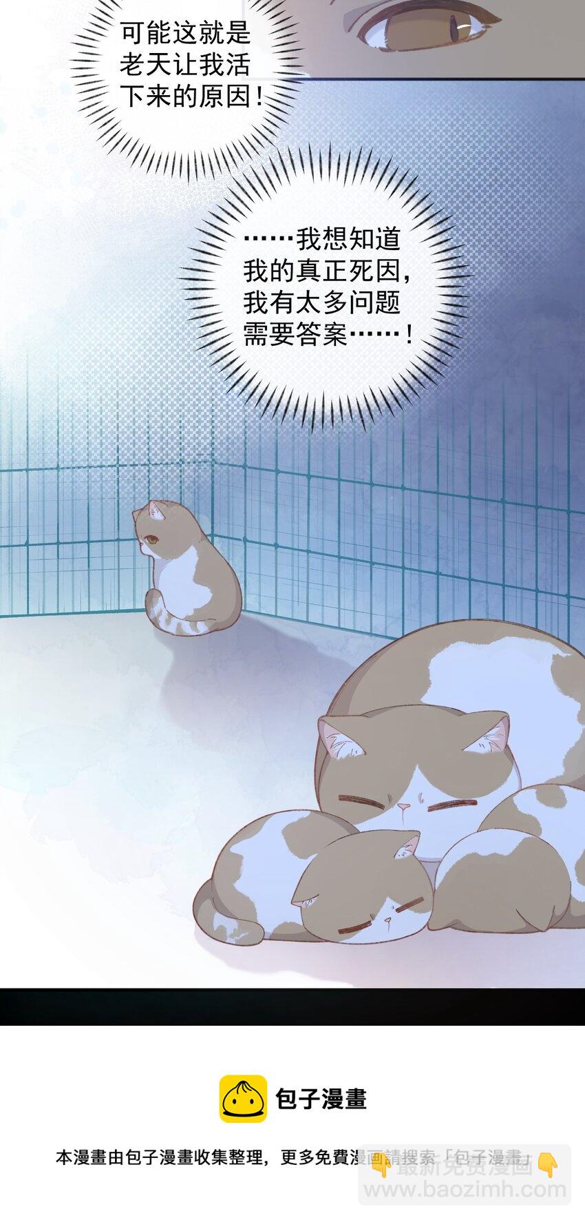 《加菲猫复仇记》001 充满智慧的小猫咪 第25页