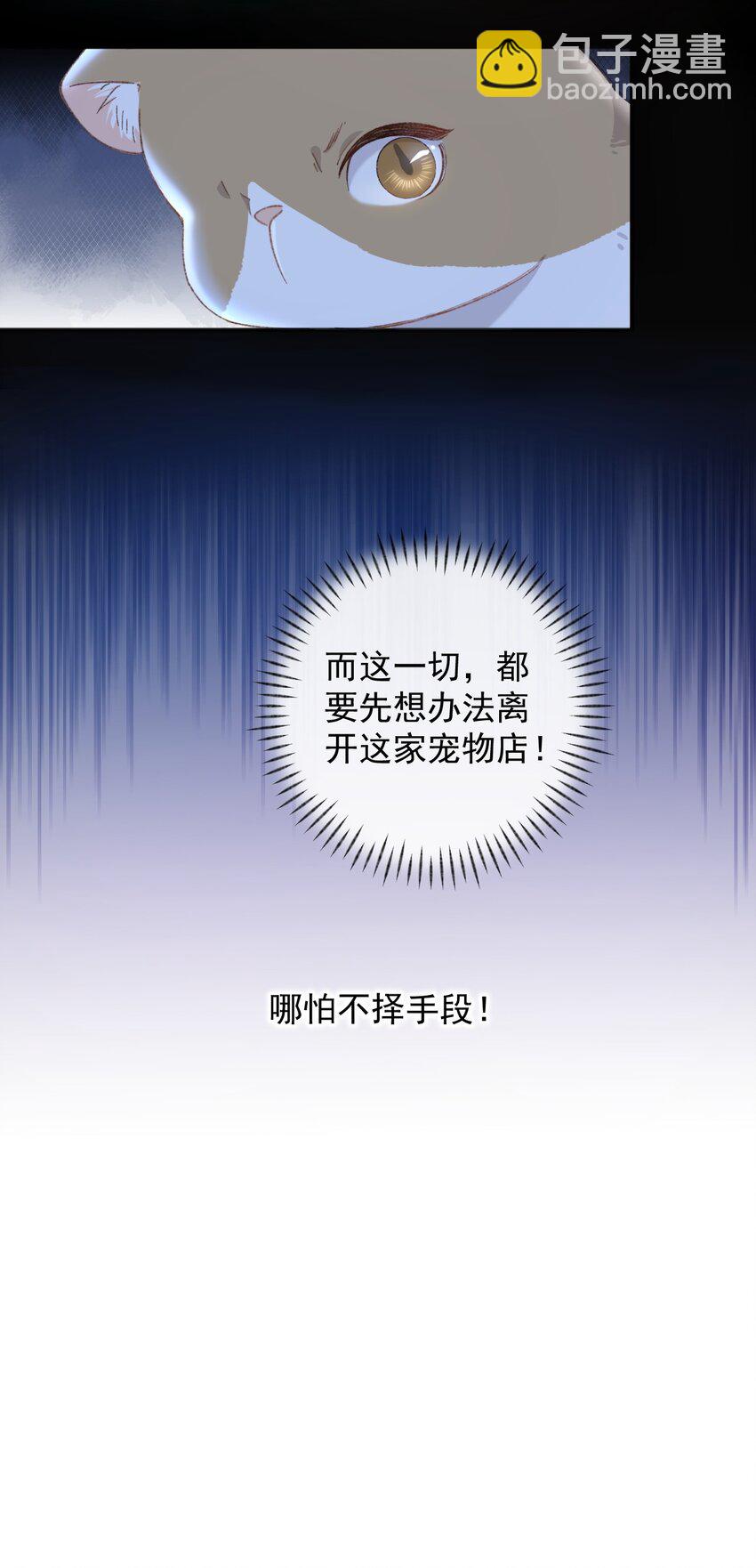 《加菲猫复仇记》001 充满智慧的小猫咪 第26页