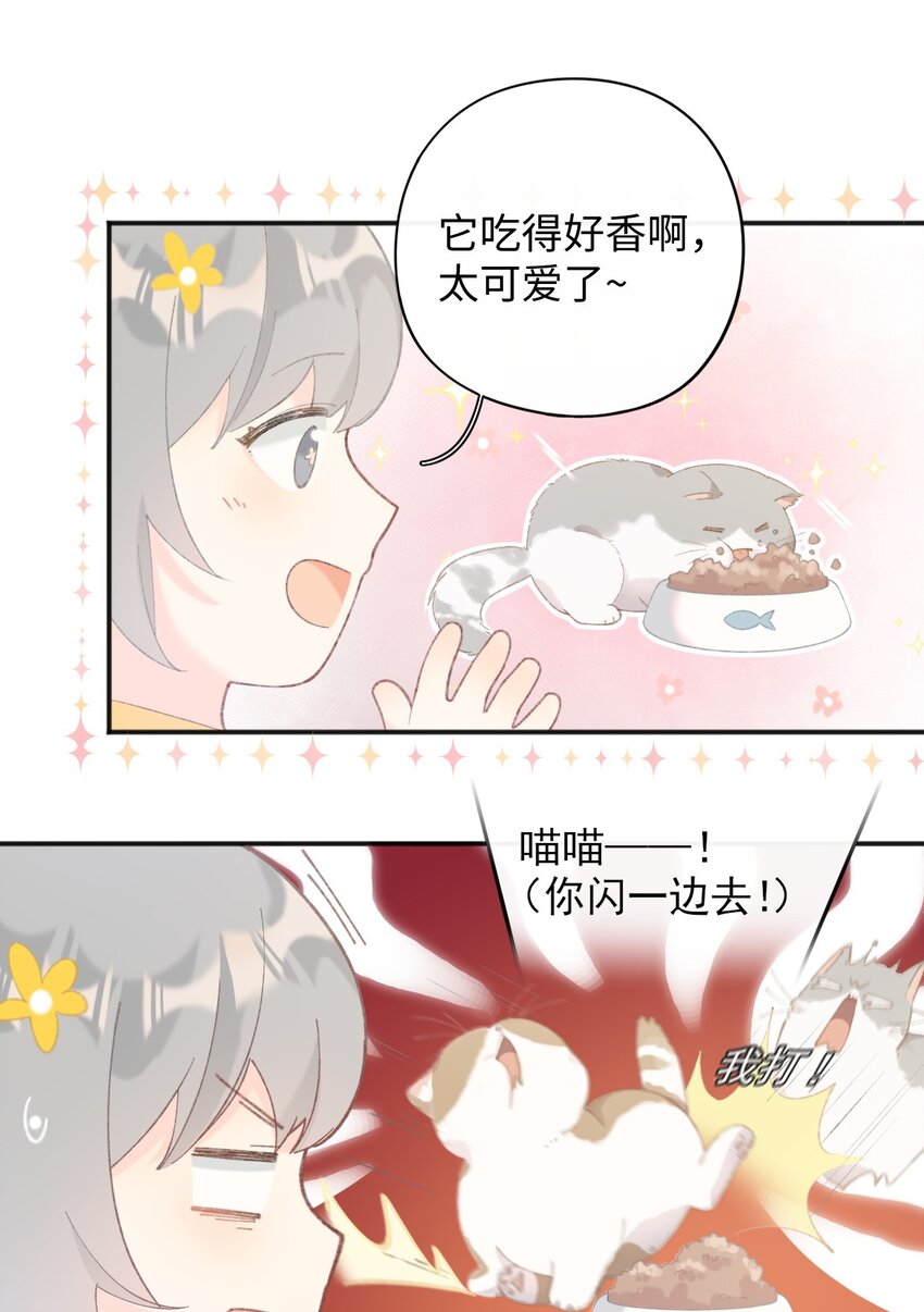 《加菲猫复仇记》001 充满智慧的小猫咪 第28页