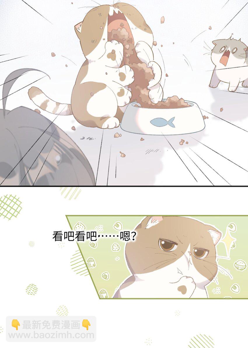 《加菲猫复仇记》001 充满智慧的小猫咪 第30页