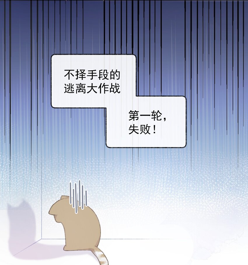 《加菲猫复仇记》001 充满智慧的小猫咪 第32页