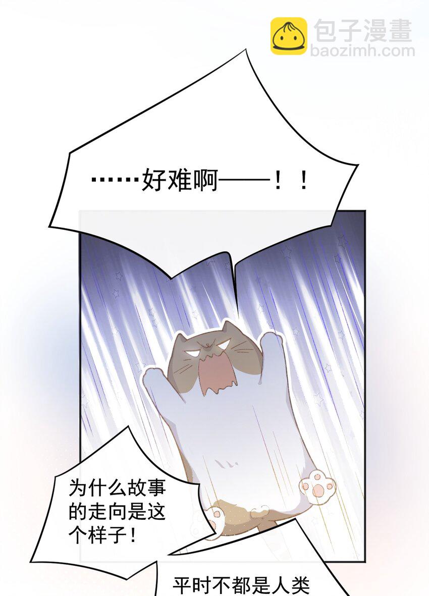 《加菲猫复仇记》001 充满智慧的小猫咪 第39页