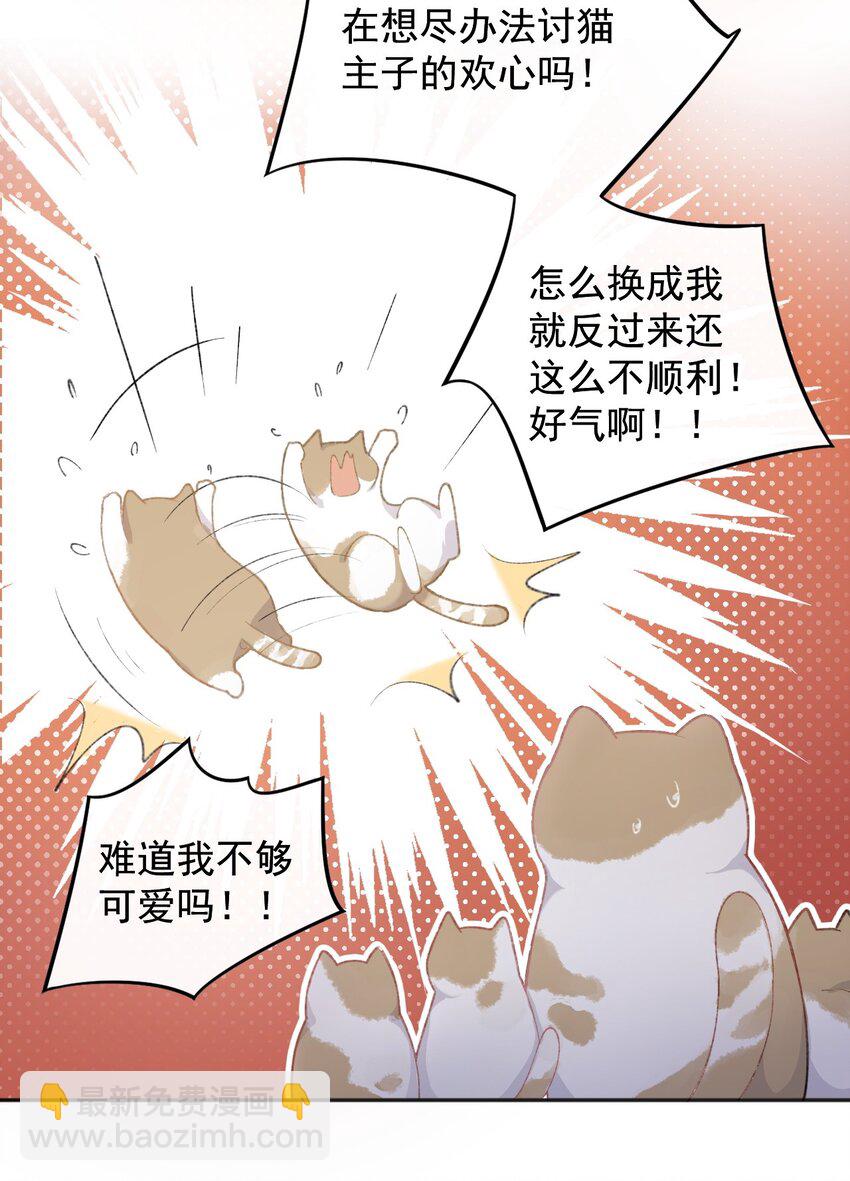 《加菲猫复仇记》001 充满智慧的小猫咪 第40页