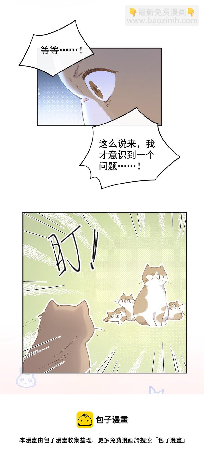 《加菲猫复仇记》001 充满智慧的小猫咪 第41页