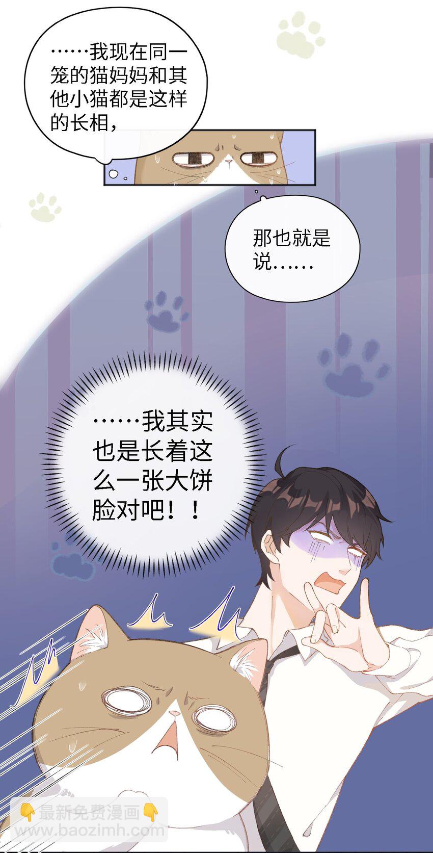 《加菲猫复仇记》001 充满智慧的小猫咪 第43页