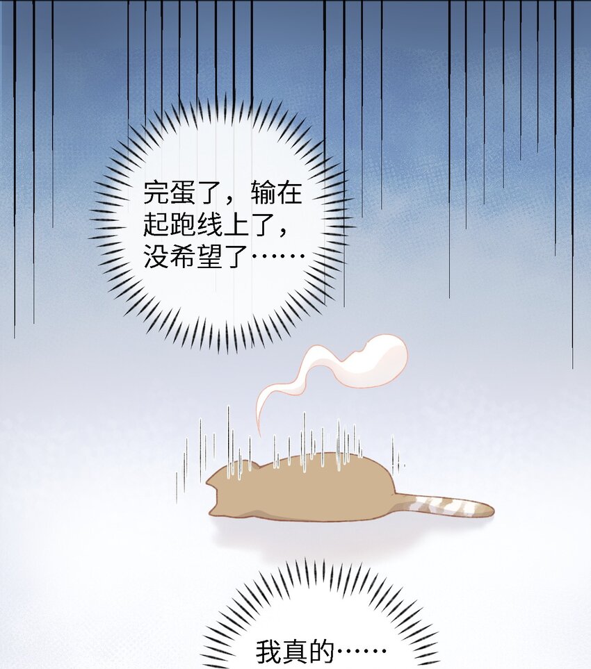 《加菲猫复仇记》001 充满智慧的小猫咪 第44页