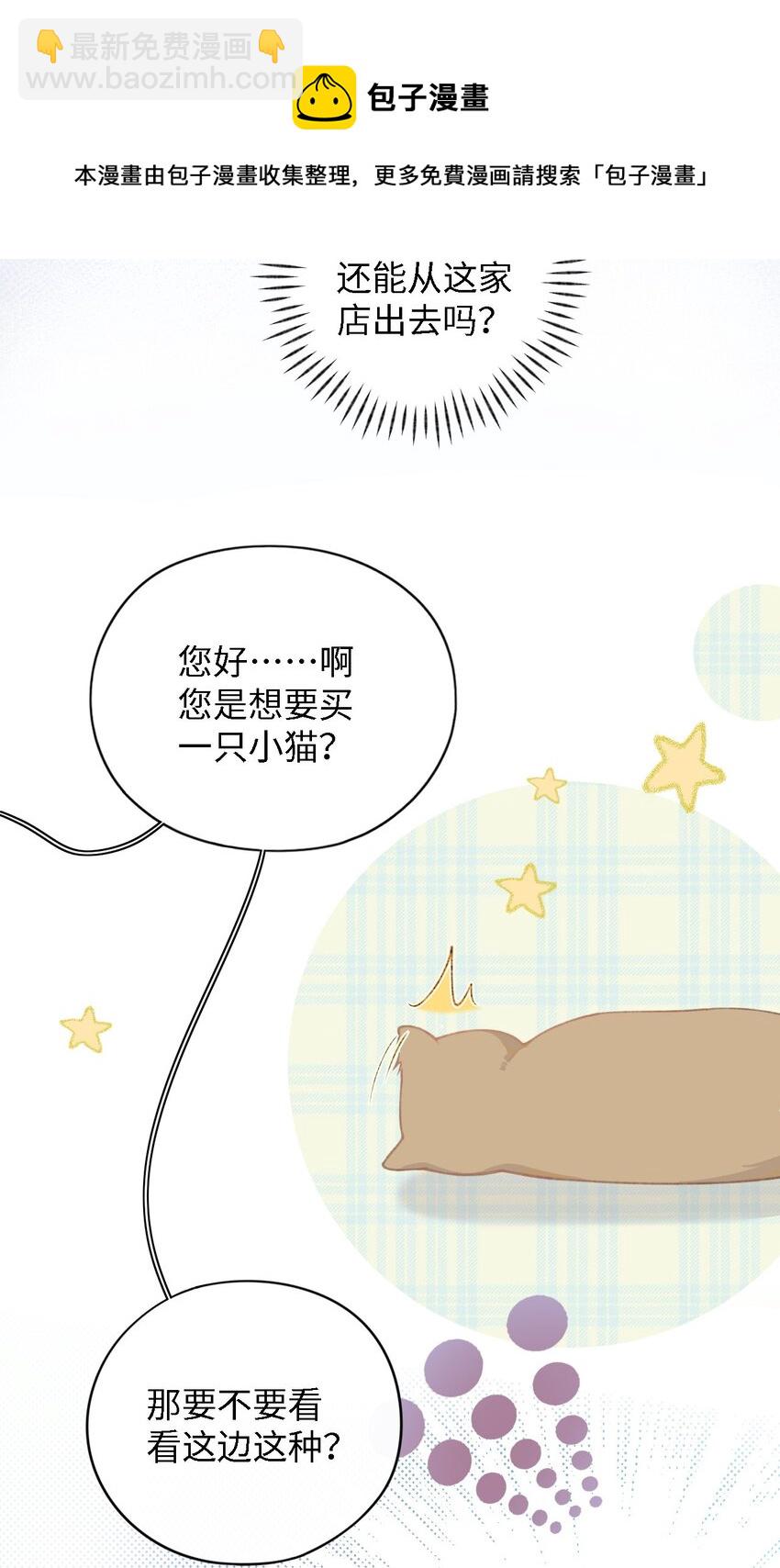 《加菲猫复仇记》001 充满智慧的小猫咪 第45页