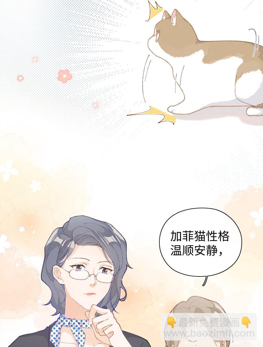 《加菲猫复仇记》001 充满智慧的小猫咪 第46页