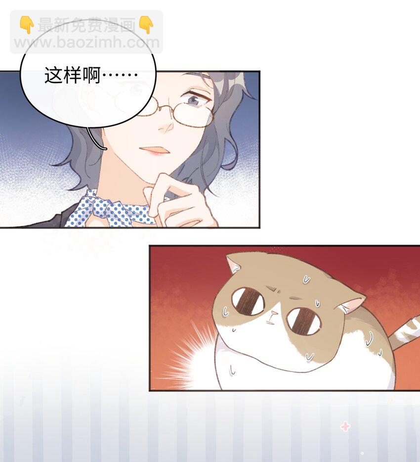 《加菲猫复仇记》001 充满智慧的小猫咪 第48页
