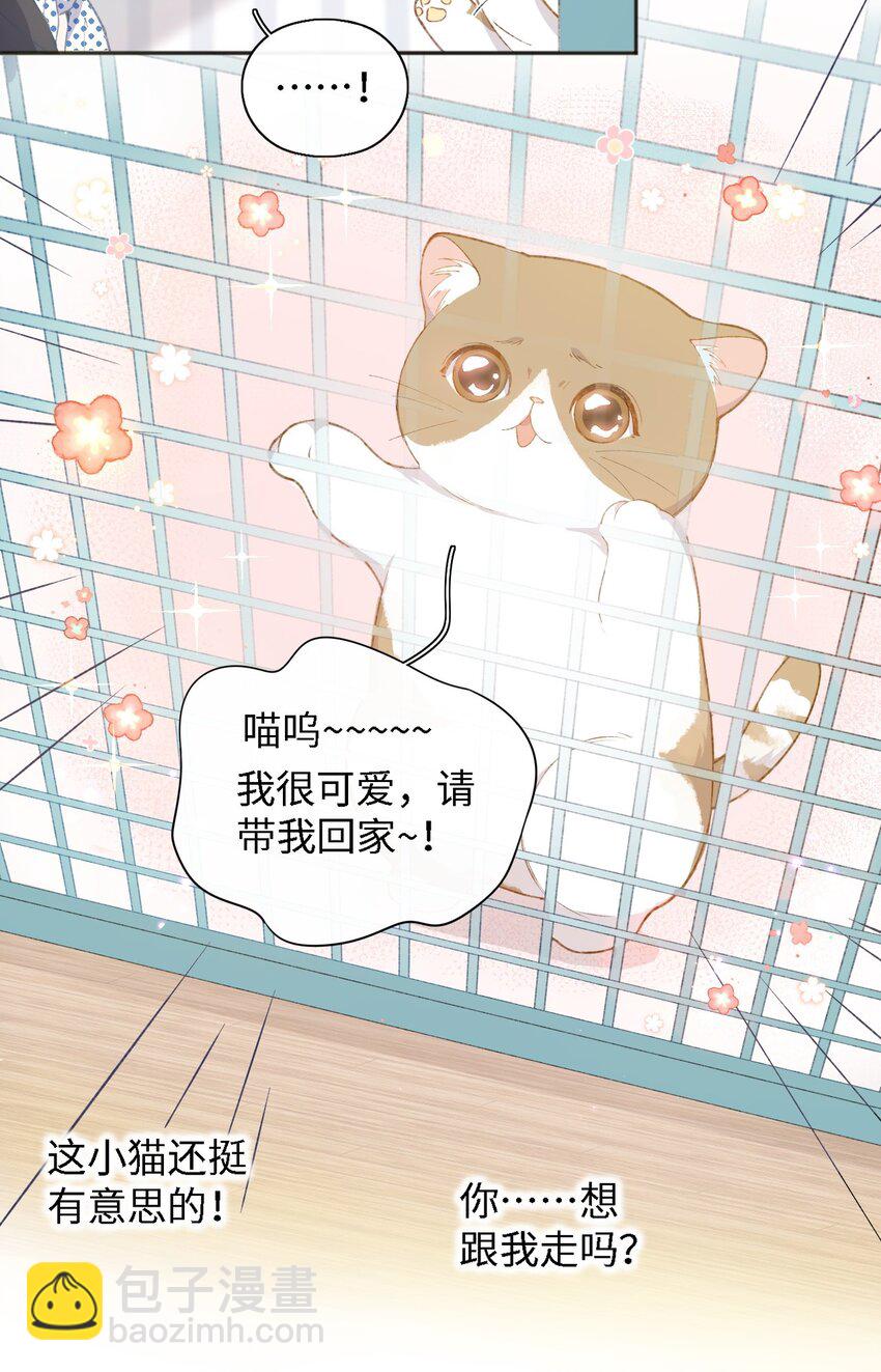 《加菲猫复仇记》001 充满智慧的小猫咪 第50页