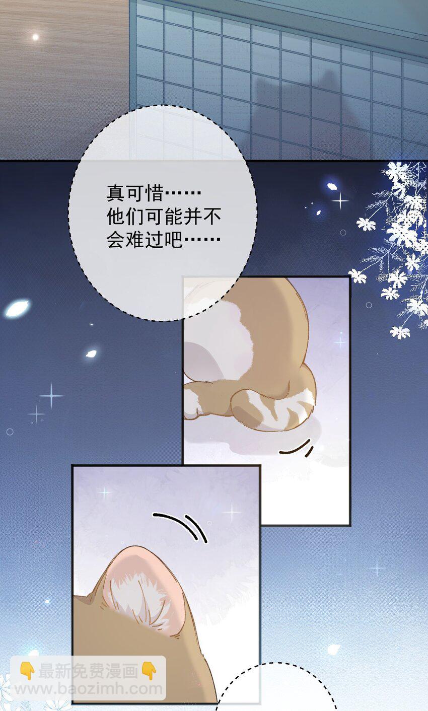 《加菲猫复仇记》001 充满智慧的小猫咪 第8页