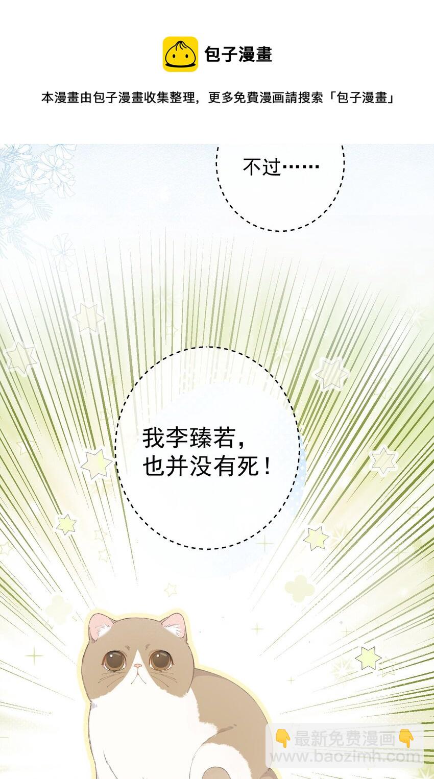 《加菲猫复仇记》001 充满智慧的小猫咪 第9页