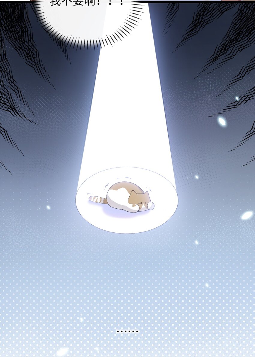 《加菲猫复仇记》006 被水淹没、不知所措?(迟到的开奖） 第40页