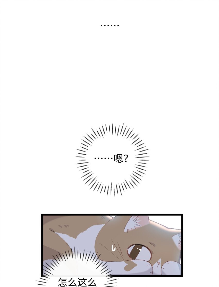 《加菲猫复仇记》006 被水淹没、不知所措?(迟到的开奖） 第42页