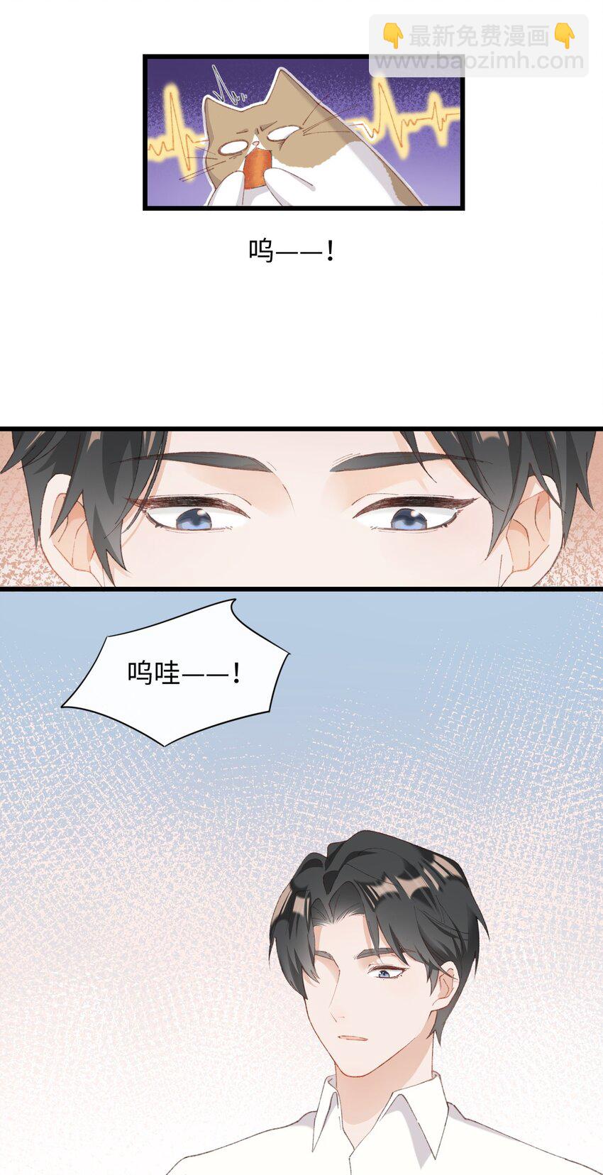 《加菲猫复仇记》007 这蛋黄温暖如春 第11页