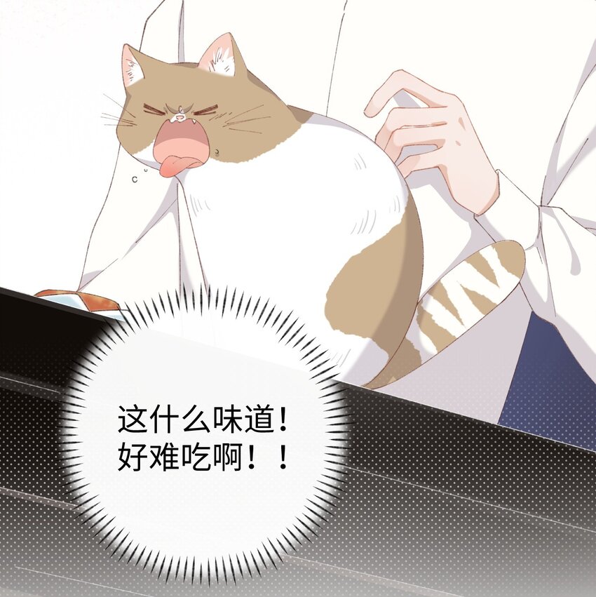 《加菲猫复仇记》007 这蛋黄温暖如春 第12页