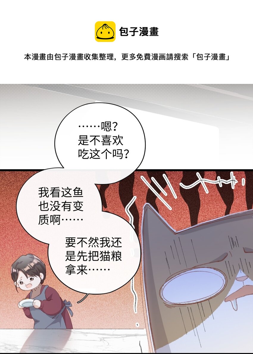 《加菲猫复仇记》007 这蛋黄温暖如春 第13页