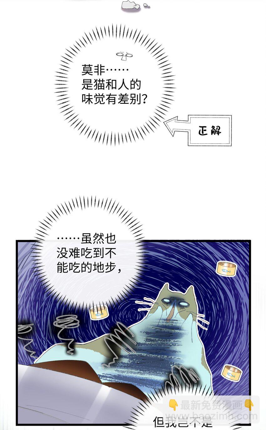 《加菲猫复仇记》007 这蛋黄温暖如春 第15页