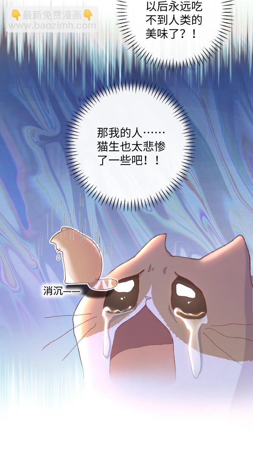 《加菲猫复仇记》007 这蛋黄温暖如春 第16页