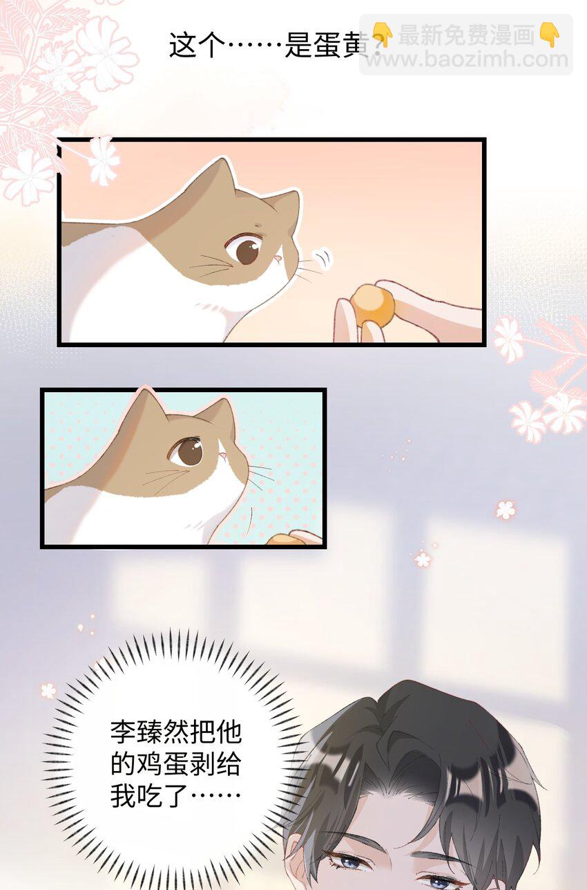 《加菲猫复仇记》007 这蛋黄温暖如春 第18页