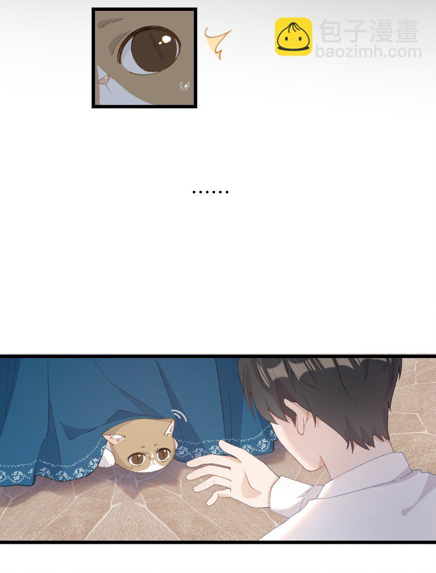 《加菲猫复仇记》007 这蛋黄温暖如春 第32页