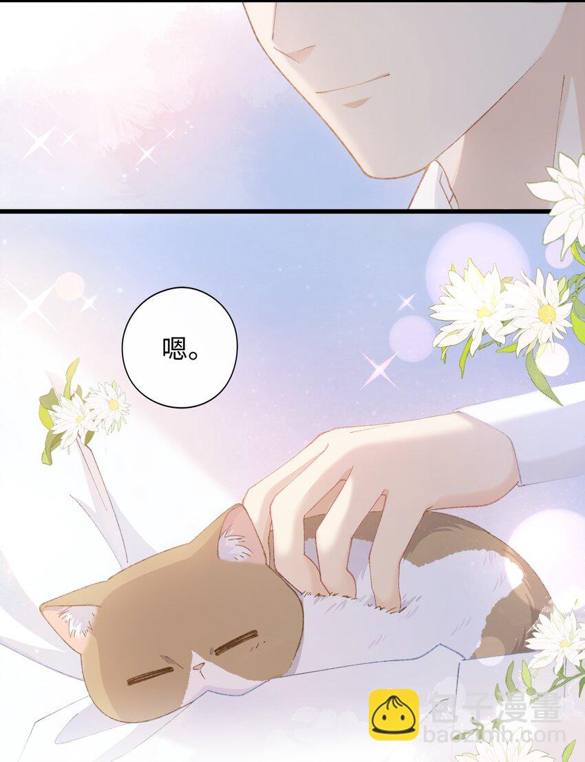 《加菲猫复仇记》007 这蛋黄温暖如春 第40页