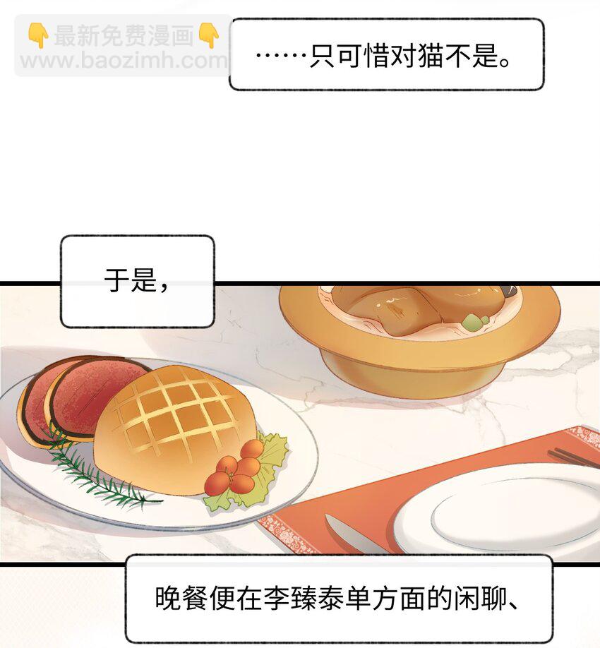 《加菲猫复仇记》005 猫猫回家乐 第12页