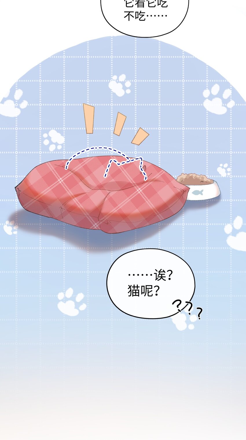 《加菲猫复仇记》005 猫猫回家乐 第18页