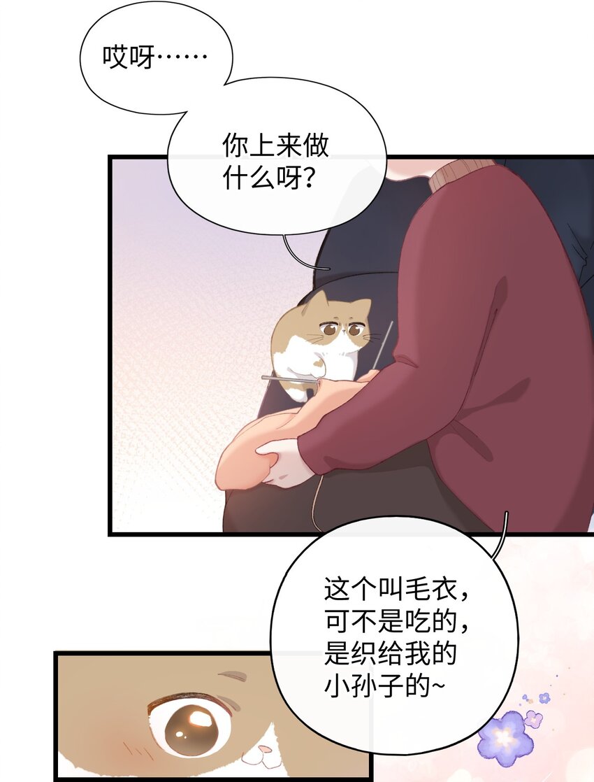 《加菲猫复仇记》005 猫猫回家乐 第26页