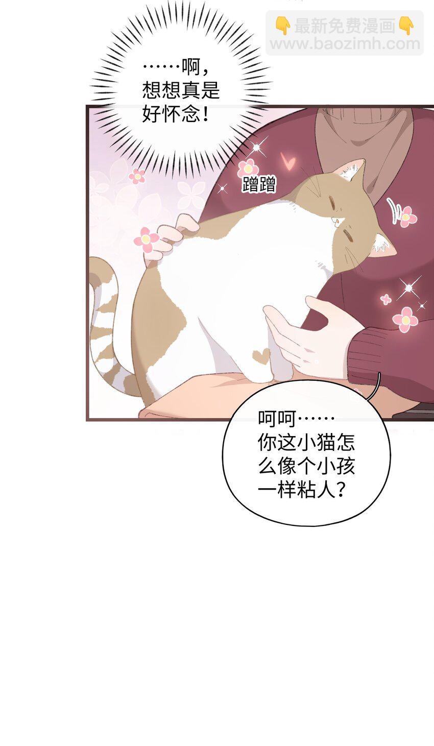 《加菲猫复仇记》005 猫猫回家乐 第28页
