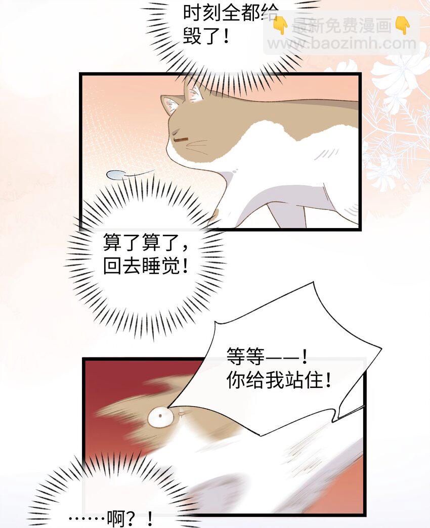 《加菲猫复仇记》005 猫猫回家乐 第36页