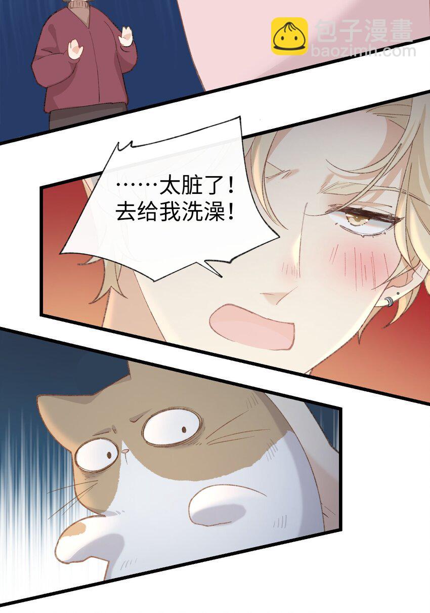 《加菲猫复仇记》005 猫猫回家乐 第38页