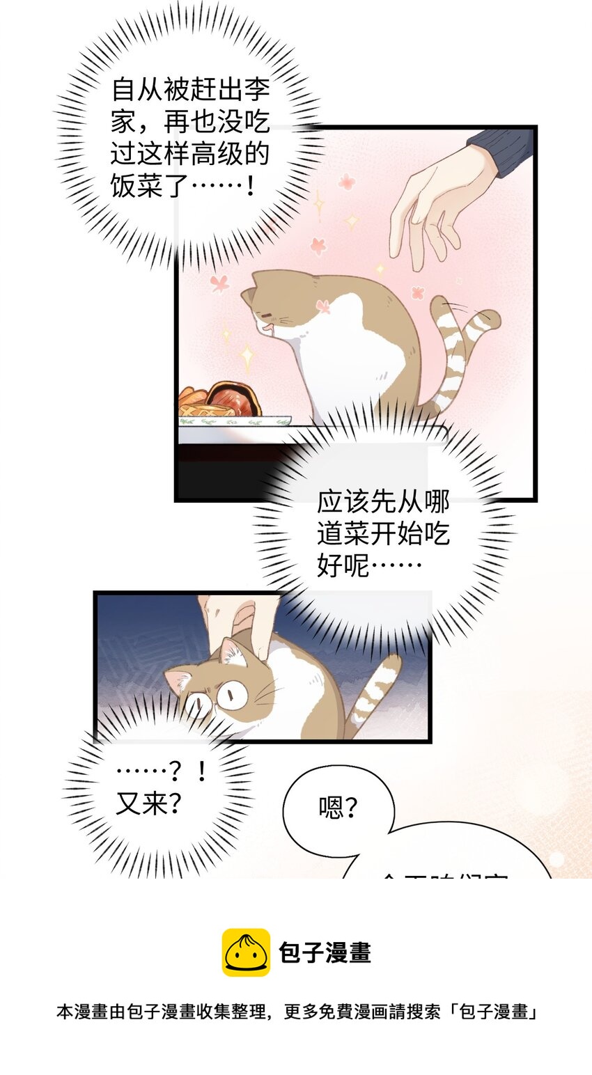 《加菲猫复仇记》005 猫猫回家乐 第5页