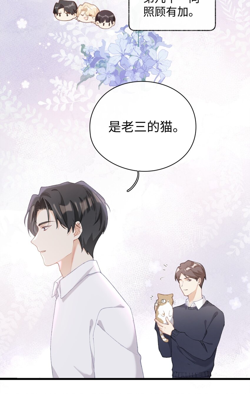 《加菲猫复仇记》005 猫猫回家乐 第8页