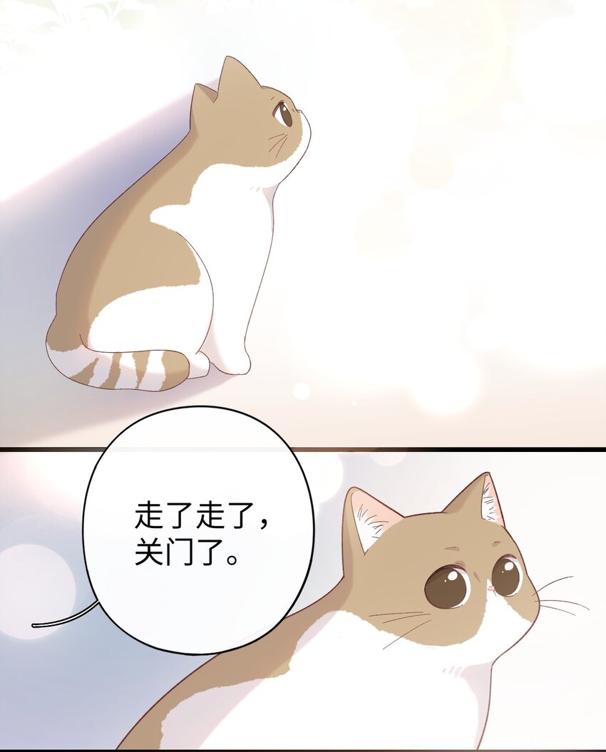 《加菲猫复仇记》008 白白胖胖，充满希望 第11页