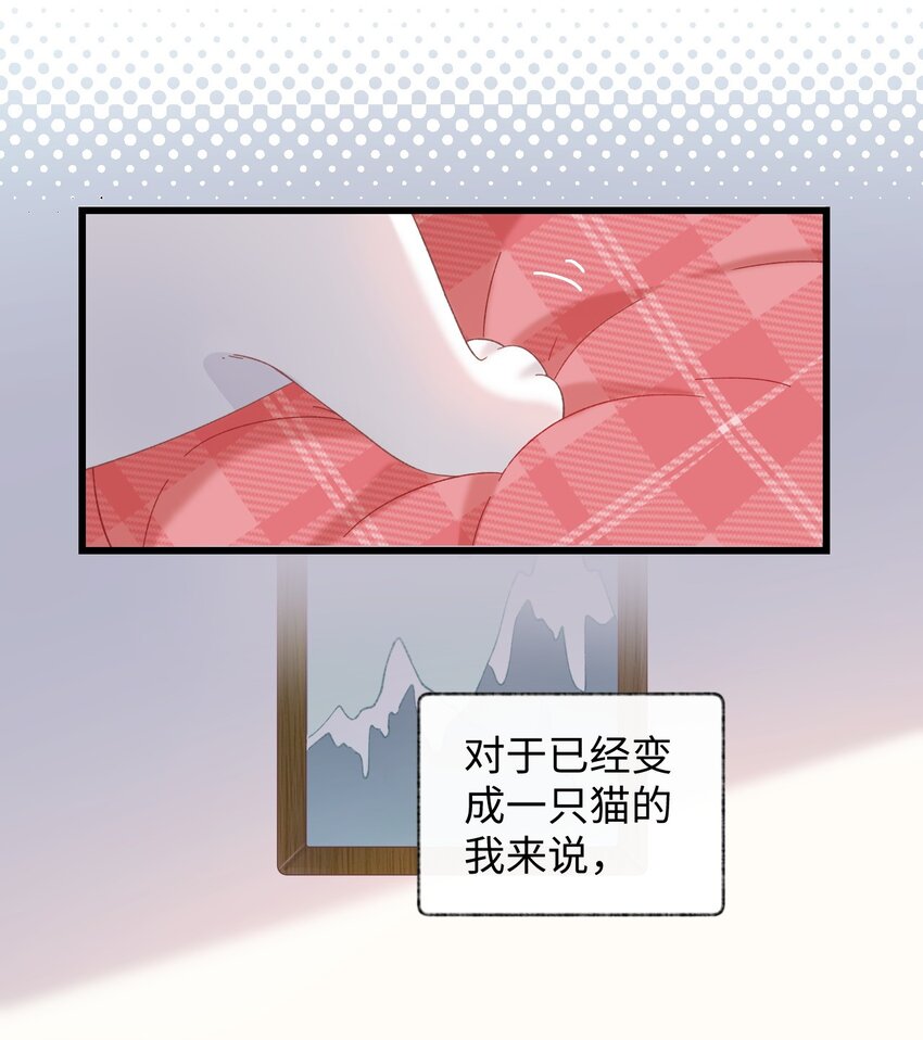 《加菲猫复仇记》008 白白胖胖，充满希望 第14页