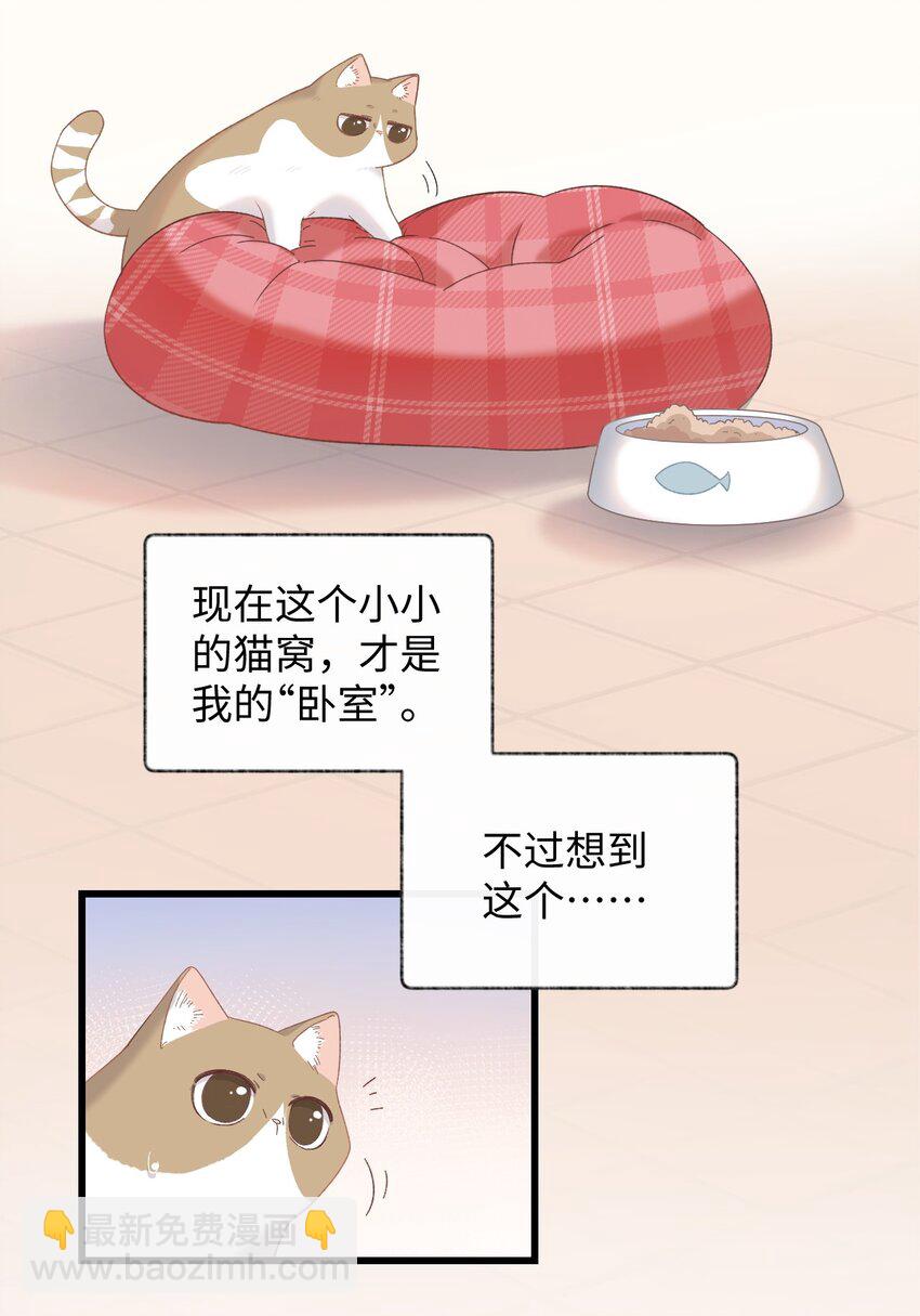 《加菲猫复仇记》008 白白胖胖，充满希望 第15页